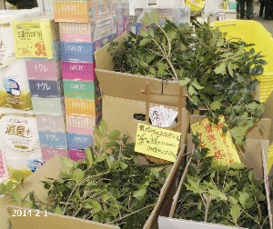 20140201 -�Ђ��݂̂��U�镑��-_1